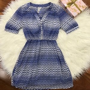 👗Pink Owl Blue Chevron Herrings Pattern Dress